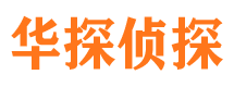 安图侦探